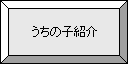 うちの子紹介